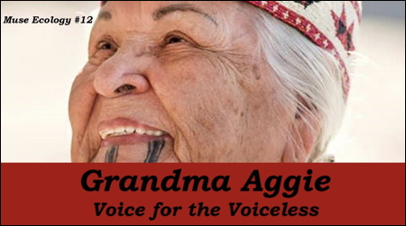 Aggie Voice for the Voiceless